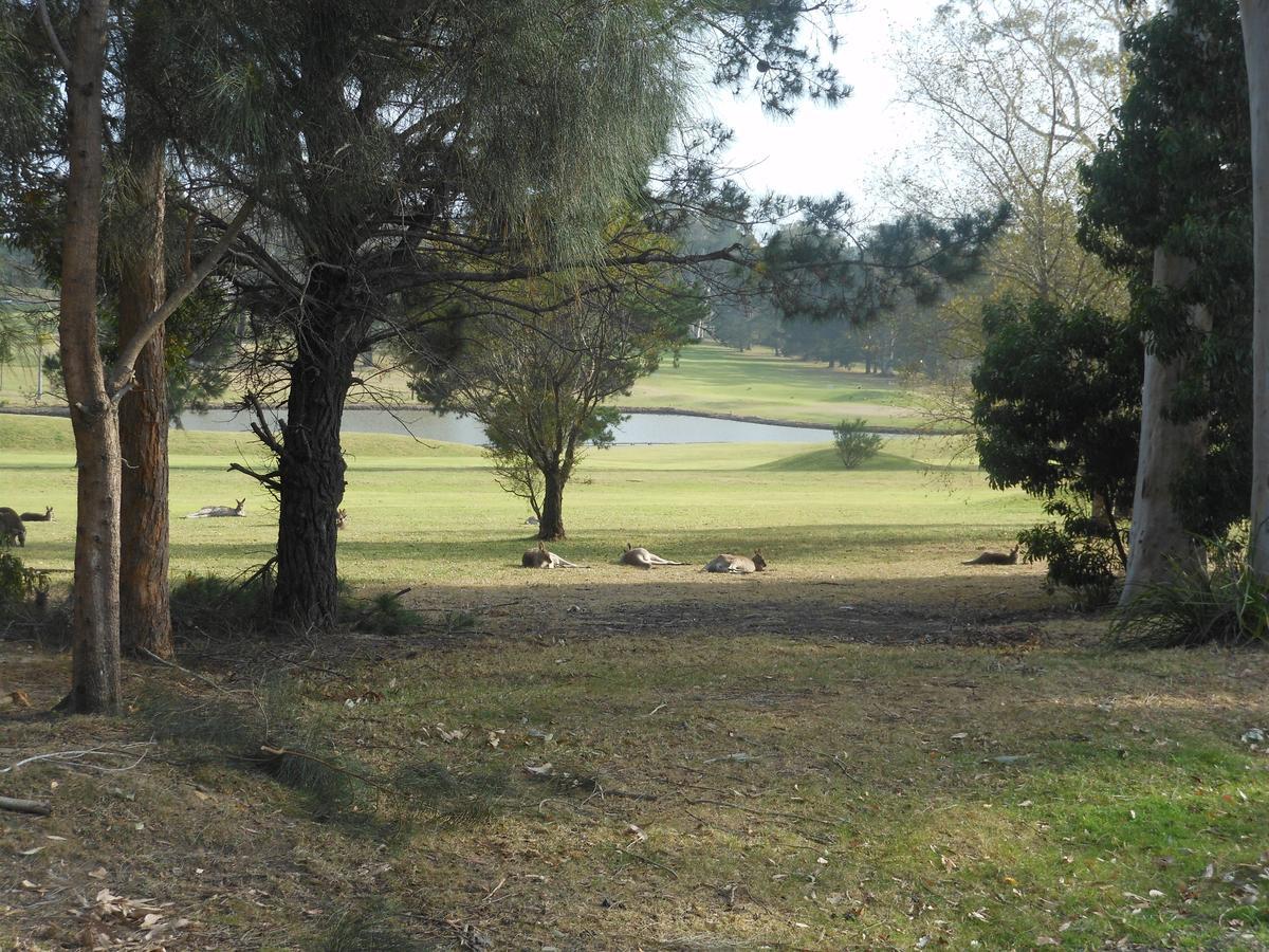Golf View Motel 생츄어리 포인트 외부 사진
